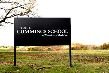 Tufts Cummings school sign